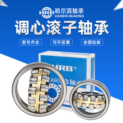 双列调心滚子轴承哈尔滨