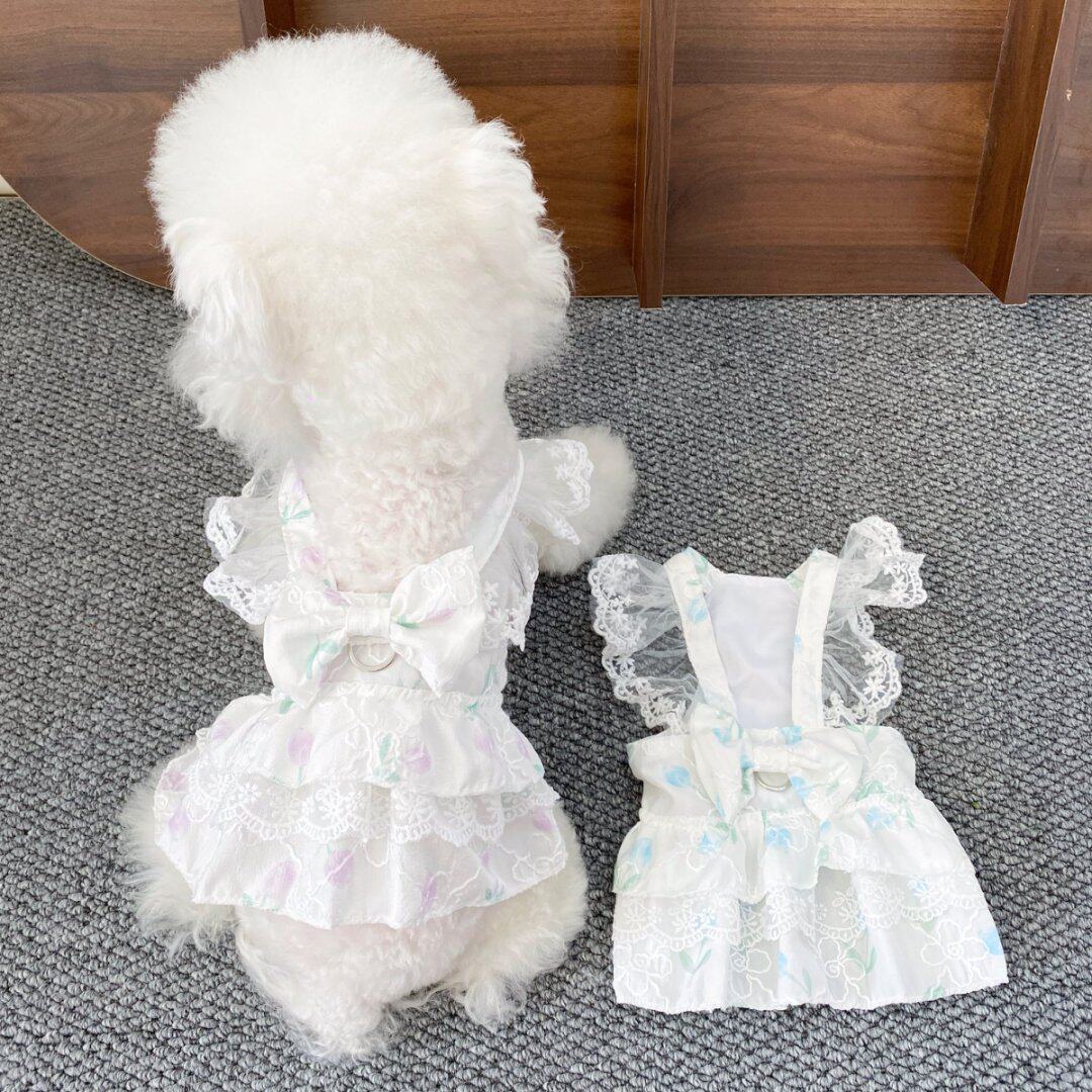宠物狗狗吊带裙衣服泰迪春夏季薄款小型犬可爱网红郁金香蕾丝裙子