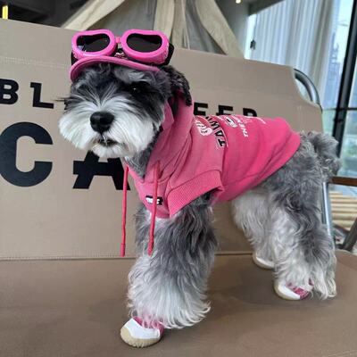 靓宠宠物狗狗衣服夏天薄款