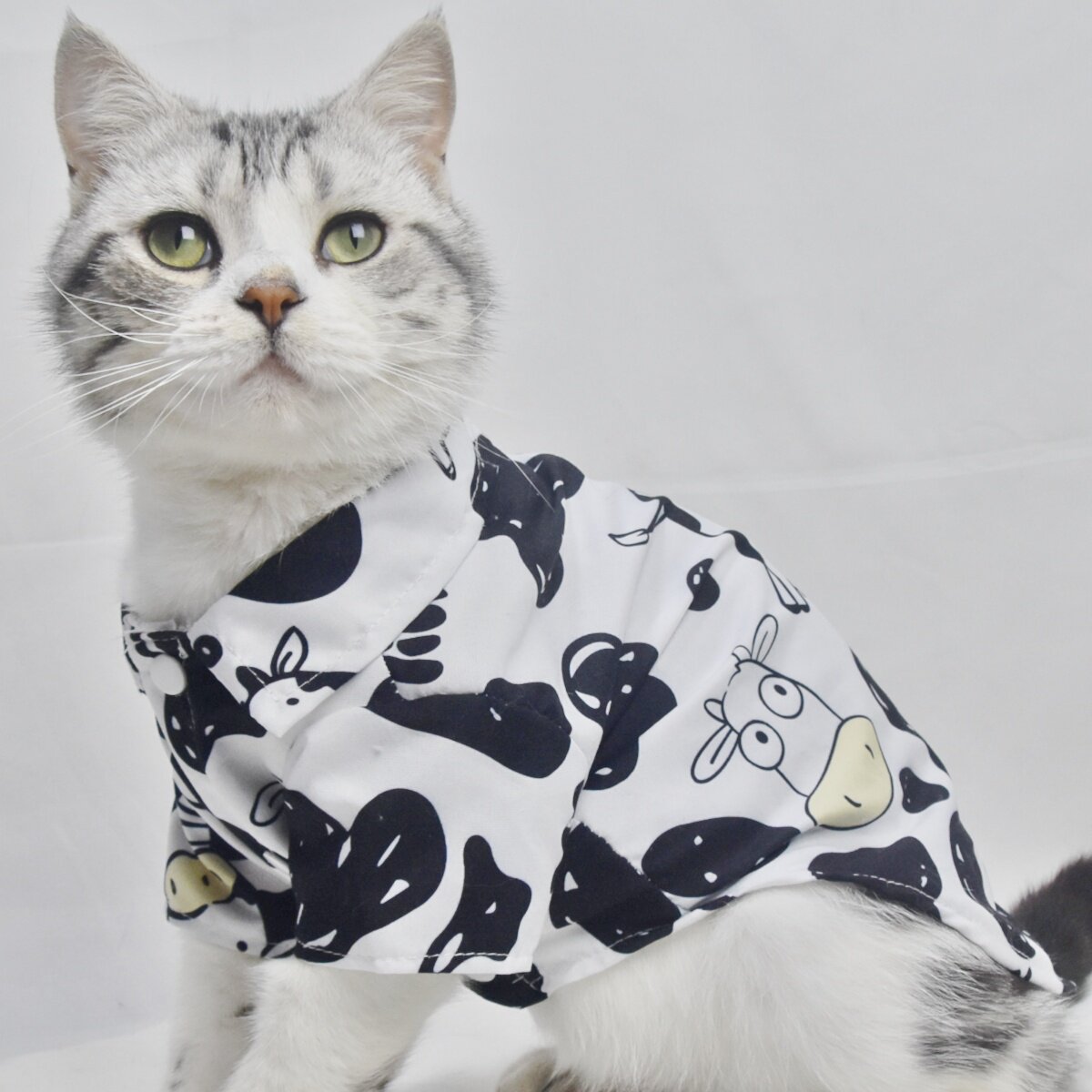宠物狗狗衣服春夏薄款奶牛衬衫泰迪雪纳瑞猫咪比熊中小型犬四脚衣