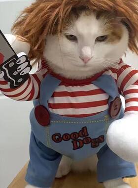 搞笑变装狗狗猫咪带刀变装
