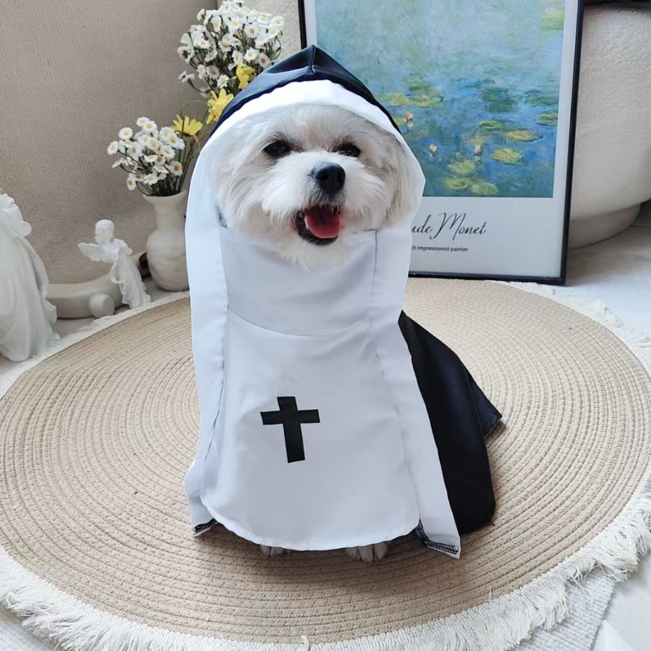 宠物修女服猫咪狗狗搞怪cos拍照用披风小修猫斗篷披肩小型犬衣服