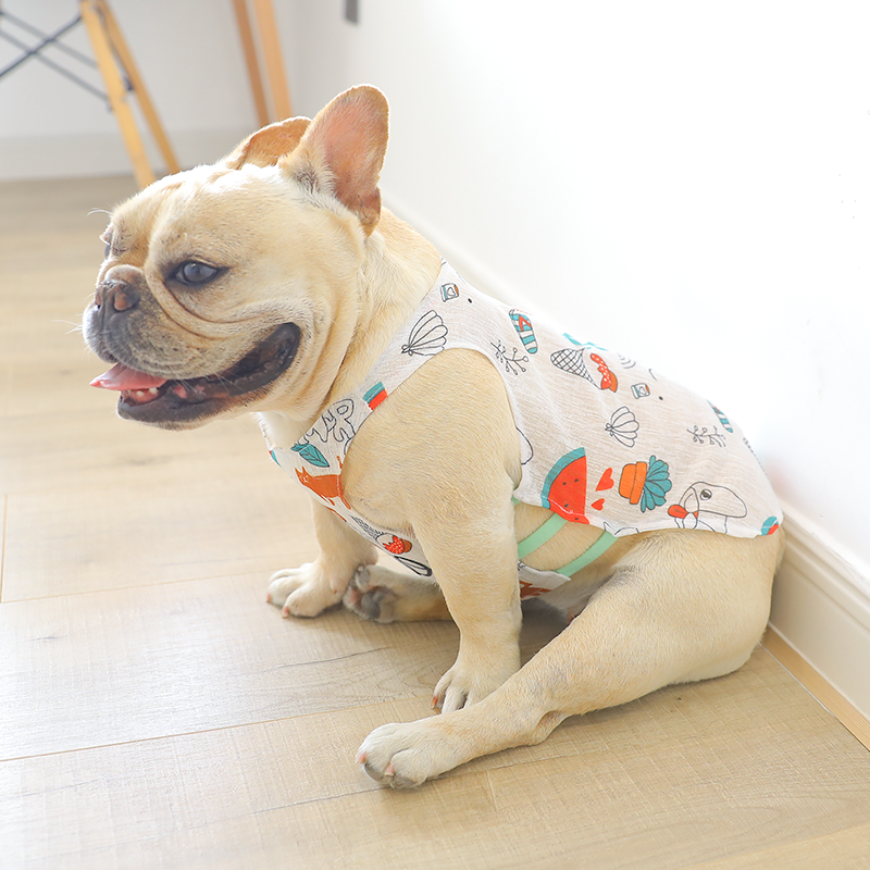 狗狗夏季透气衣服背心狗狗猫咪薄款泰迪柯基博美宠物两脚小狗服饰