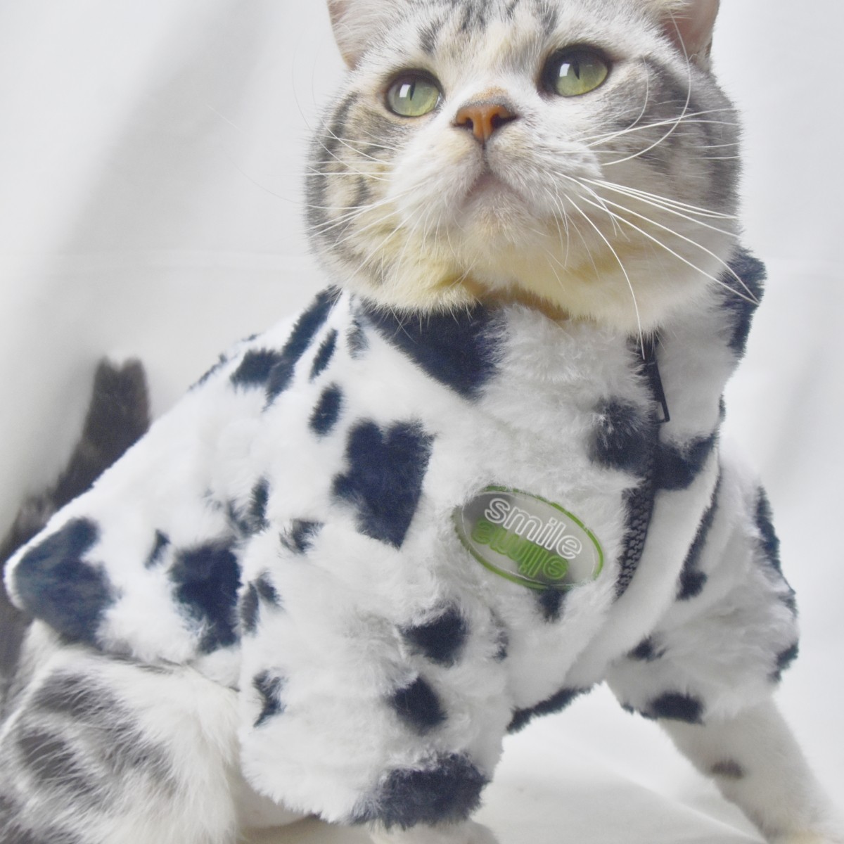 靓宠猫猫狗狗聚酯纤维牛奶仿皮草