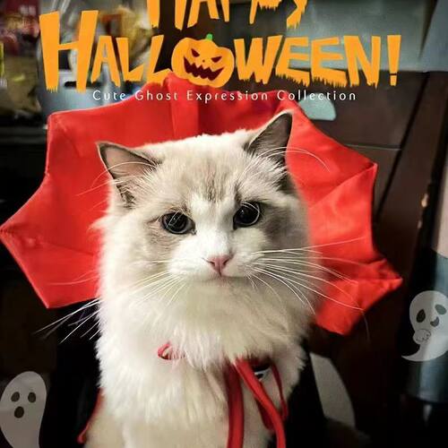 宠物万圣节披风 猫咪狗狗血族王变装衣服 贵宾比熊雪纳瑞博美斗篷 - 封面