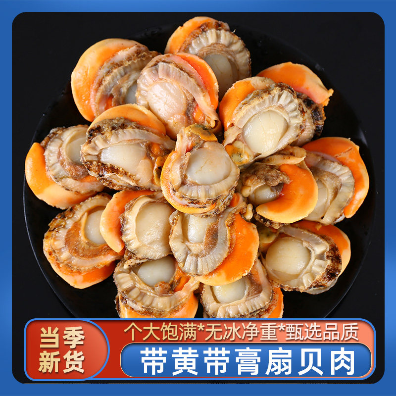 扇贝肉带黄特大新鲜红贝冷链包邮