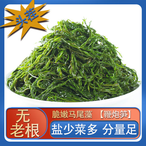 独立包装新鲜马尾藻鲜嫩厂家直发