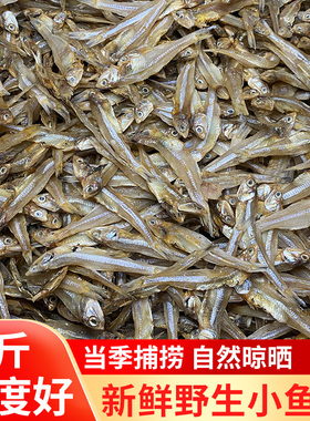 小鱼干500g干货特产咸银鱼公鱼自制风干海燕鱼晒干无海鲜盐海燕鱼