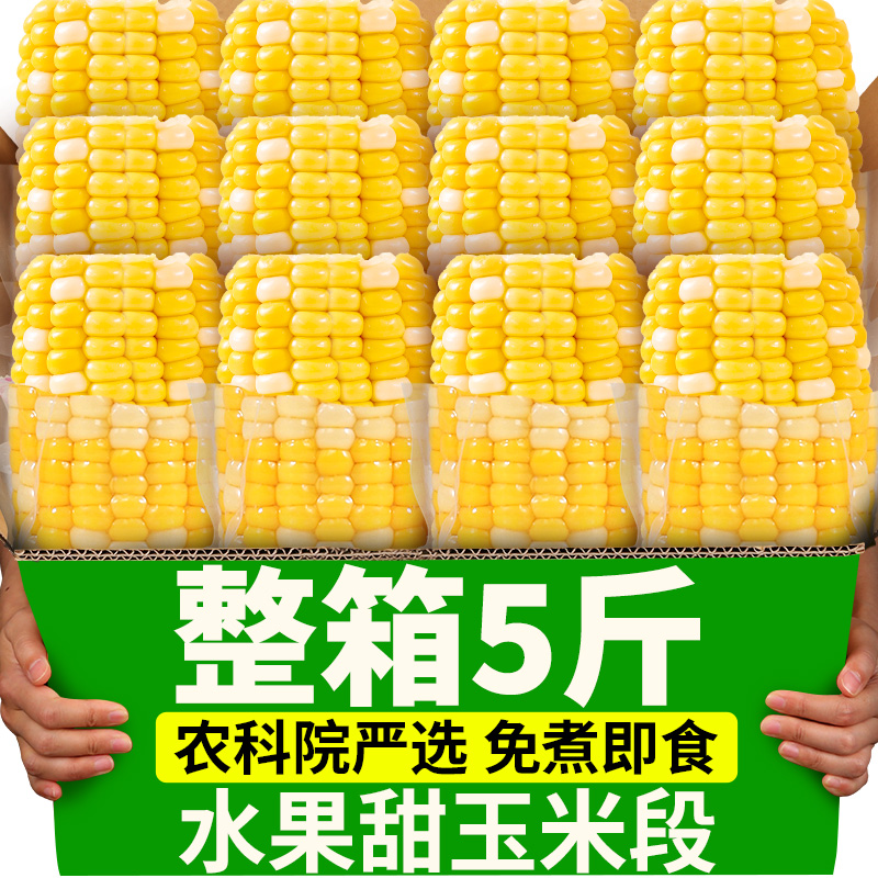 5斤农科院即食水果玉米段新鲜真空包装学生宿舍免煮速食早餐代餐