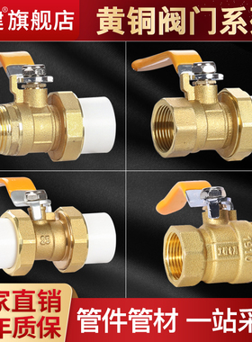 顶建 全铜ppr水管管件配件接头热熔4分20开关6分25双活接阀门球阀