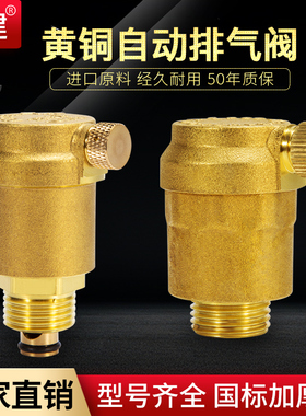 顶建家用自来水暖气管道放气阀黄铜自动排气阀立式4分6分DN25DN20