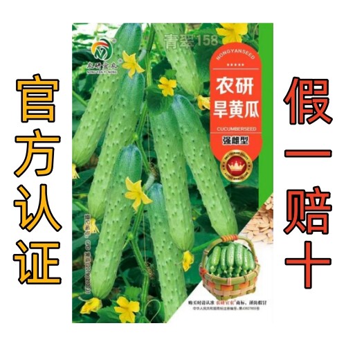 农研旱黄瓜种子：一包约100粒，超好吃几乎节节有瓜好种植易管理