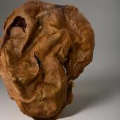 吉林梅花鹿鹿胎粉纯正干鹿胎完整鹿胎盘新鲜鹿胎全鹿干整个可打粉