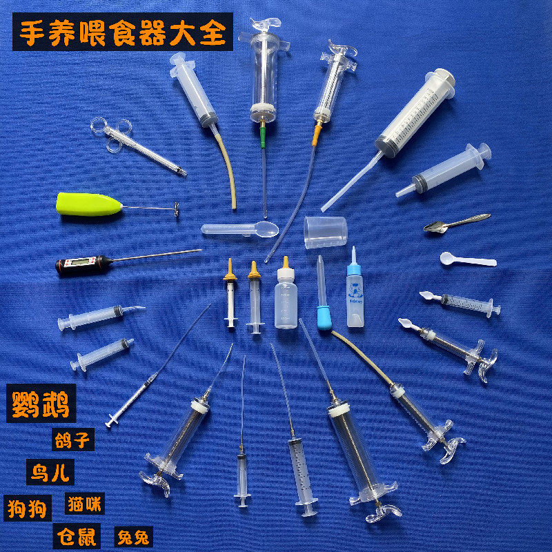 鹦鹉幼鸟鸽子喂奶喂药喂食器