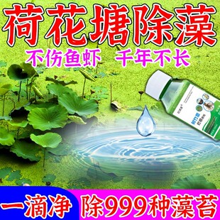 一滴净】除藻灭苔剂荷花鱼塘除绿藻水池速灭青苔褐蓝藻清理净改底