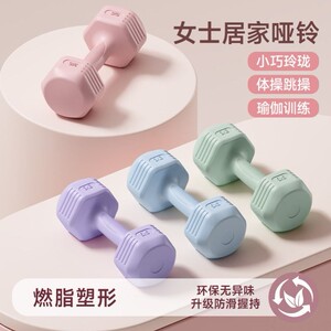 哑铃女士健身家用2/3kg一对杠铃1/1.5kg亚玲青少年健身女生小哑铃