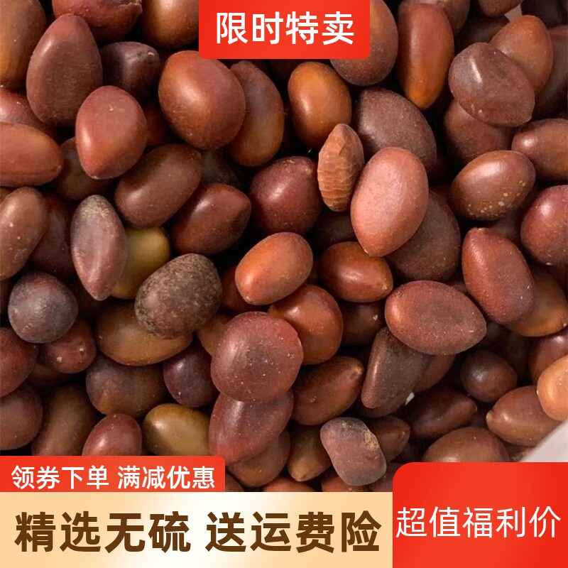 皂角籽250克包邮 中药材皂角子 正品皂角种子 皂荚子 新货无虫眼