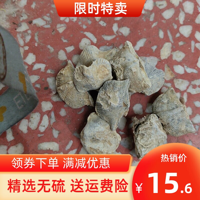 石燕500克 中药材石燕 燕石子 燕子石 水飞石包邮店有磁石 灶心土