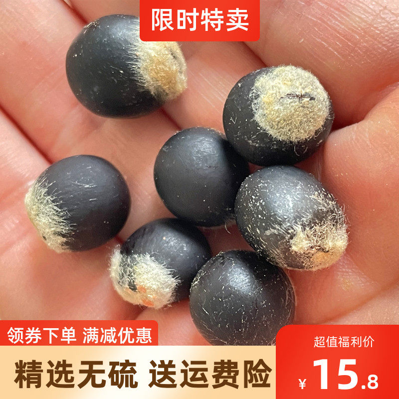 新采无患子种子500g 黄金树种子洗手果肥皂树 穿手串 无患子树籽