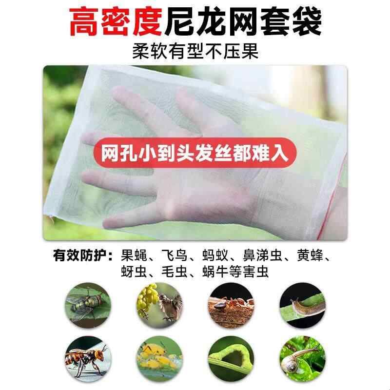 水果套袋果树防鸟防虫纱网袋葡萄无花果番石榴枇杷桃草莓保护袋子图片