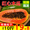 云南木瓜水果新鲜包邮净重9斤整箱冰糖心青木瓜红心牛奶木瓜当季