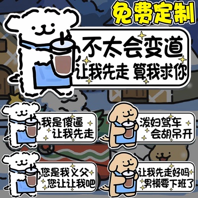 新手上路女司机磁吸车贴实习期贴标志胶贴纸反光磁贴线条小狗定制