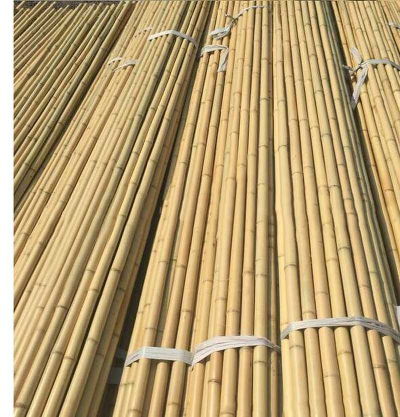 篱笆竹竿子竹杆细竹竿搭用屏风院子小竹子超硬1米竹竿老竹杆