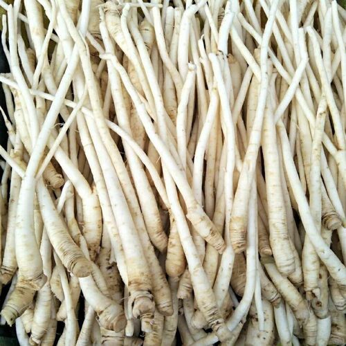 云南德宏茴香根 煲汤炖排骨糯香新鲜茴香500克