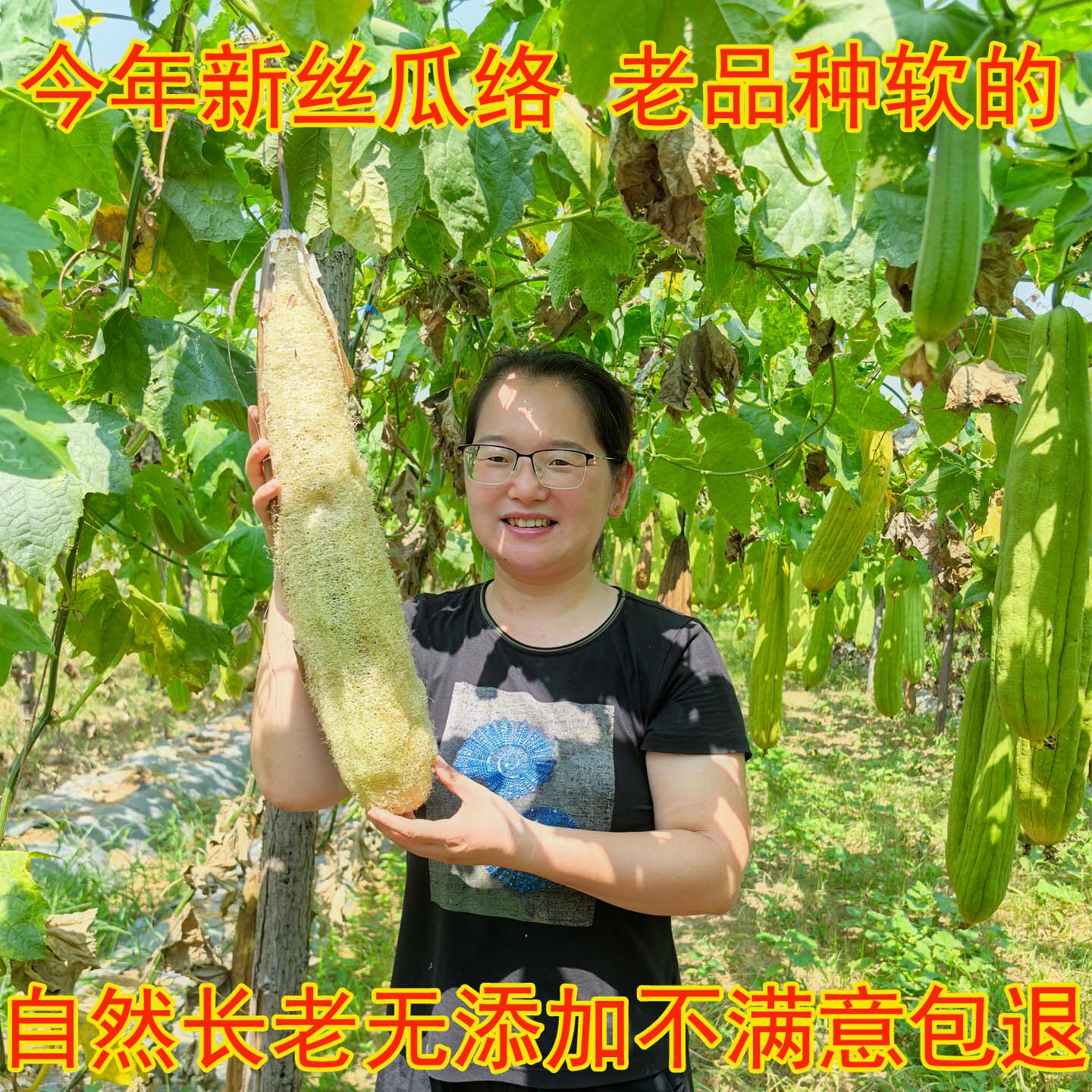 天然丝瓜络洗碗刷锅搓背洗澡煮水下奶农家老干丝瓜瓤水瓜囊筋布皮