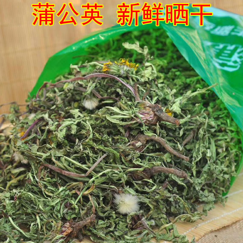 新鲜蒲公英带根晒干水洗婆婆丁叶子整棵全草花茶整株天然蒲公英