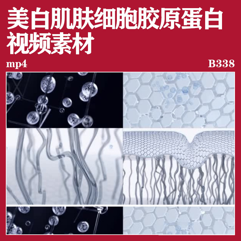美白肌肤细胞胶原化妆高清活力激活渗透蛋白动画视频素材