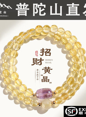 普陀山天然金发晶招财串珠双圈手链女时尚高级感金虎眼紫水晶手串