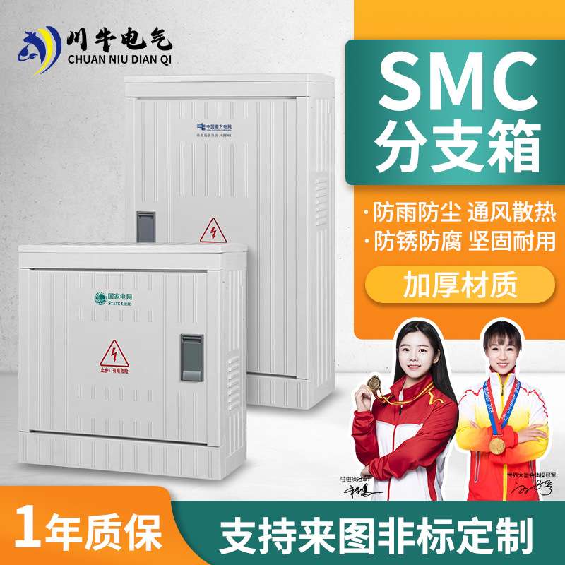 SMC玻璃钢低压控制成套配电箱落地式电缆分支箱双电源开关挂墙箱