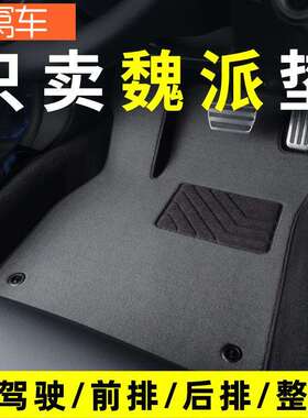 魏派300vv5vv7vv6Y摩卡拿铁dht汽车脚垫主驾驶单片