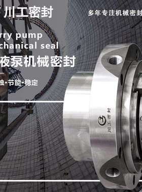 负压化成泵机械密封SLZC150-630TJSLZC200-760ASLZC200-760BTJ