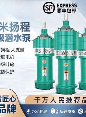 人民水泵多级潜水泵小老鼠上海高扬程大流量220v深井泵380v抽水泵