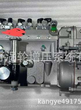 PC200-5的6D95国产喷油泵101695-3050101065-0406