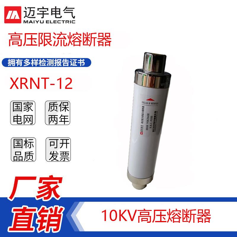 直销10KV熔管熔芯XRNT-12/31.5A户内高压限流熔断器负荷开关