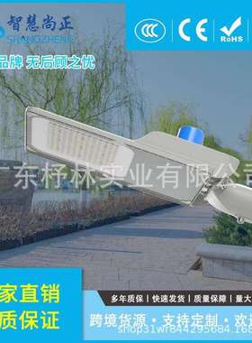 LED路灯头50W100W150W200W新款城市道路照明