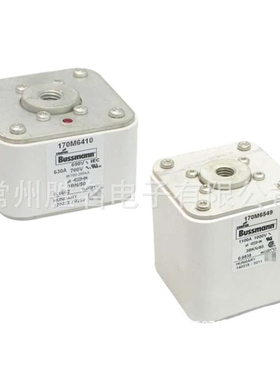 170M6410 170M6414 170M6416 170M6417 170M6418 170M6419熔断器