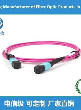 OM4万兆多模12芯24芯MPO/UPC(公母头连接器)玫红色OFNR主干缆跳线