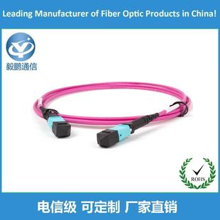 玫红色OFNR主干缆跳线 公母头连接器 OM4万兆多模12芯24芯MPO UPC