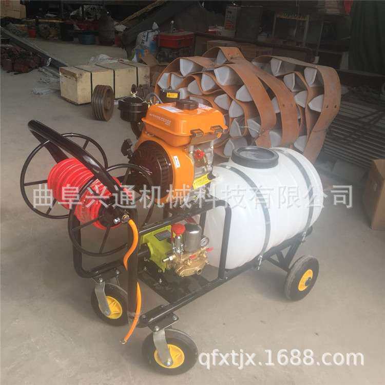 湖北果园菜园打药机 手推式防疫站消毒打药机 辣椒种植打药机厂家