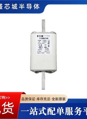 熔断器保险丝170M2664170M2665170M2666170M2667现货