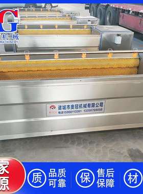 天花清洗去皮机何首乌清洗机毛辊土豆磨皮机桔梗滚刷去皮机