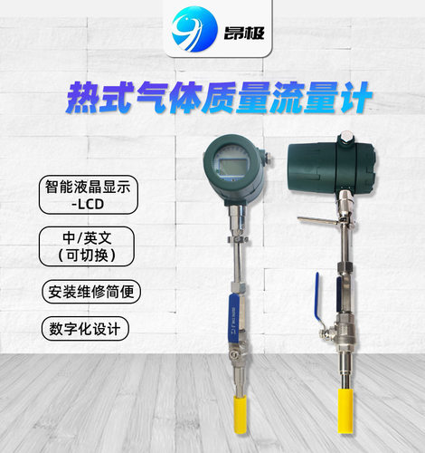 插入式热式气体质量流量计