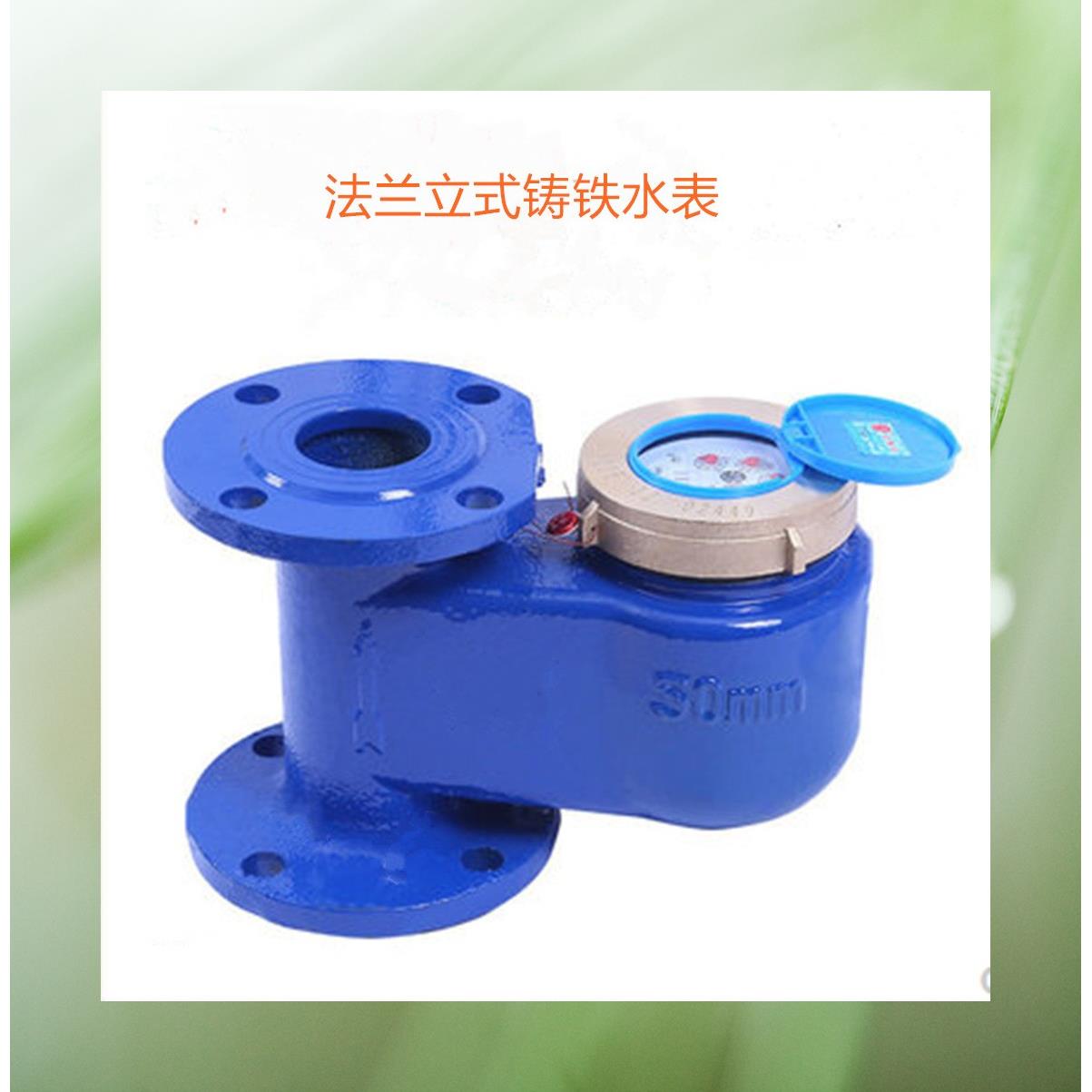 立式水表铸铁立式水表不锈钢立式螺纹水表不锈钢法兰立式水表