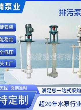 YW无堵塞液下排污泵工业不锈钢立式长轴双管液下排污泵泥浆泵
