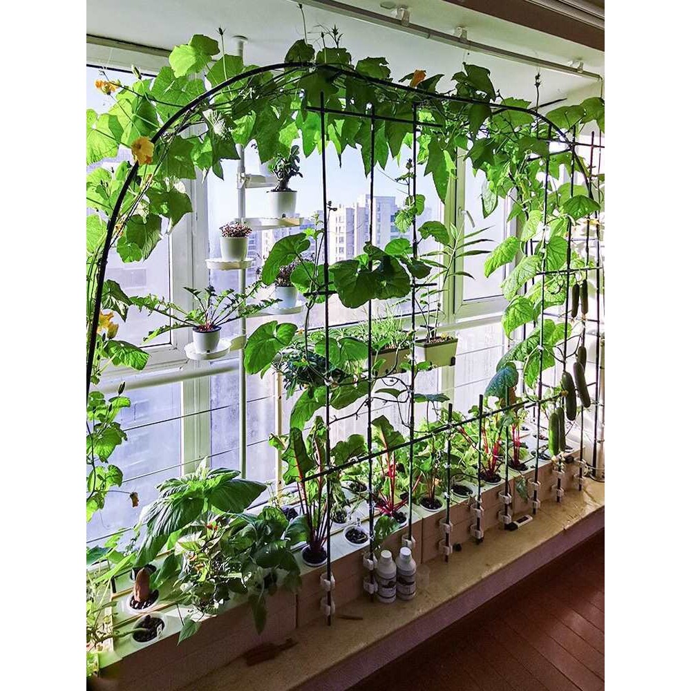 无土栽培黄瓜水培蔬菜家庭室内阳台种菜神器箱自动管道式设备