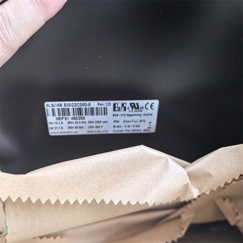 椿本RS100-LMD-1-CP-96L
